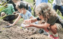 Hatay’da Bali modeliyle ekolojik sanat okulu