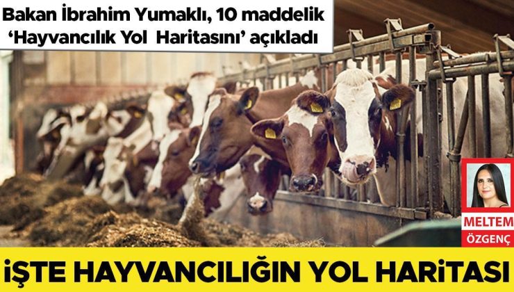 İşte hayvancılığın yol haritası