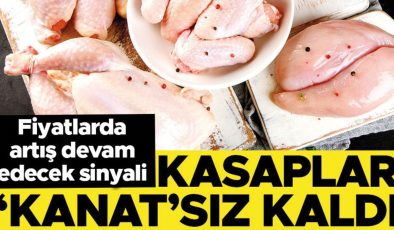 Kasaplar ‘kanat’sız kaldı