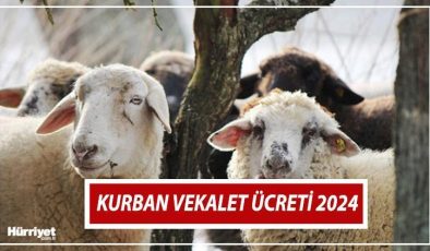 Kurban vekalet ücreti 2024 | Bu yılki vekaletle kurban kesim bedeli ne kadar oldu? Yurt içi ve yurt dışı vekalet kurban kesim ücretleri belli oldu!