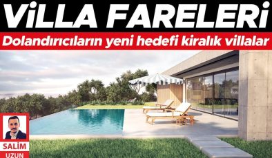 Villa fareleri