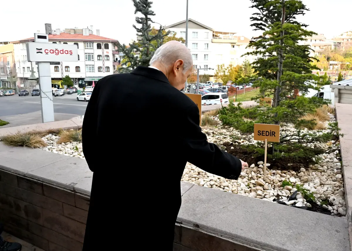 MHP Genel Merkezi önüne ‘Biz kardeşiz’ ağaçları dikildi